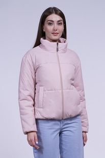 ������ ����