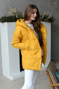 ������ �������