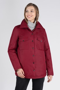 ������ ����