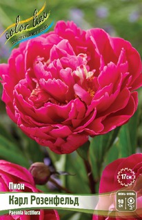 ���� ���� ����������, 2/3n