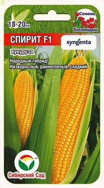 �������� ������ F1