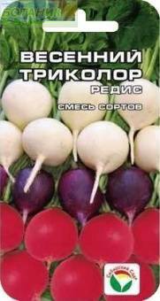 ����� �������� �������� �����