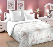 ������� ���������� ����� �� ������� ����