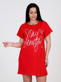 �-29 ������ �������