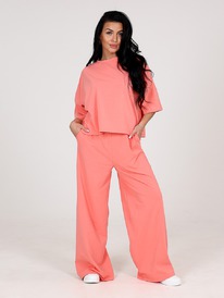 ��-1029 ������� ���������� ������ (����������)