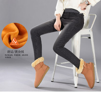 ������ ����������, ����� � ������������