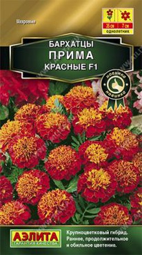 ����� ������� F1 ����������� �������� 15��