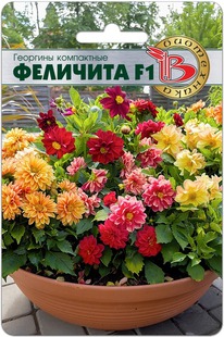 �������� ���������� �������� F1
