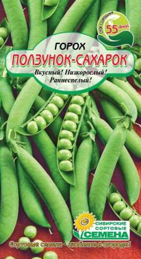 ��������-������� �����