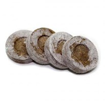 ��������� (44��) ������-7