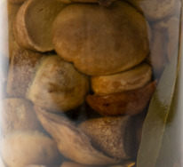 ������������ ������������ ������ (�����, ������ �� 6-9 ��)