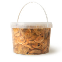 ������ ������ ������ (�����, ������ 6-9��)