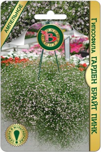 ��������� ������ ����� ����