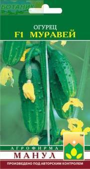 ������ ������� F1