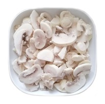 ����� ���������� ������� ����������������