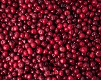 ����� � ��������� ����� � �����������������