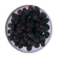 ������� ����������������