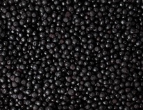 ������������ ������ �����������������