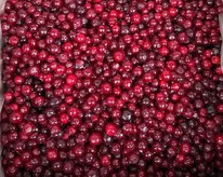 ������ ������� ������ �����������������