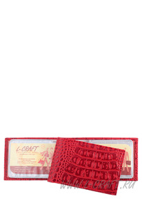 ������ ��� ����������� ����  ���� ������ �������