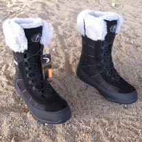 ������ ����