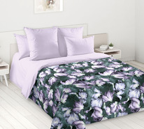 ������� ���������� ����� �� ������� ������