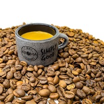 ���� �������� ���