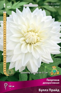 �������� ������������ ����� �����