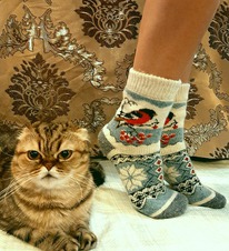 ����� ��������� �������, �� ������� � ����������