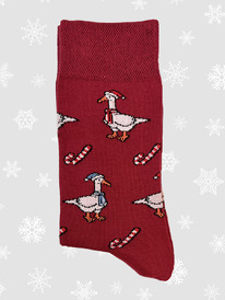 ����� �� �.40-45 