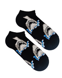 �������� ����� �. 37-44 ����� ��������