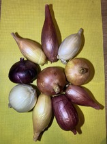 ����� ����� ���������