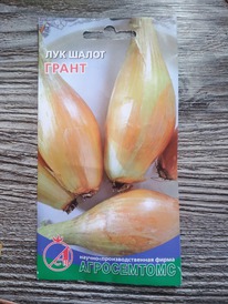 ���-����� �����