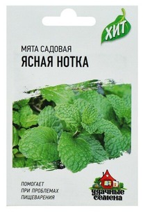 ���� ����� �����