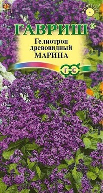 ��������� ������ �����������