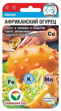 ������ ����������� ������