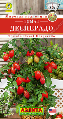 ����� ���������