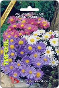 ����� ������ ���������� ����������� ����������