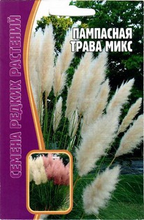 ��������� ����� ���� �����������