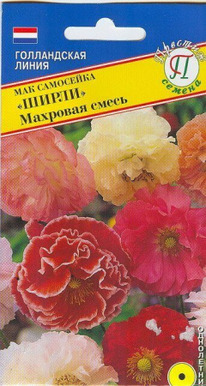 ��� ����� ��������� ������ ����� ����������