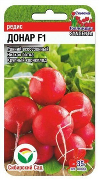 ����� ����� F1