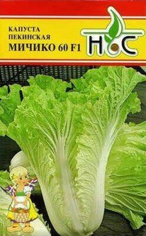 ������� ��������� ������-60 F1 (�� ���������)