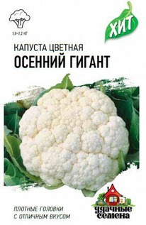 ������� ������� ������� ������ ���