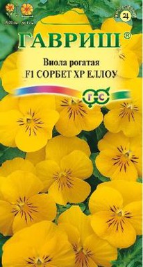 ������ XP ����� F1 ����� ������� �����������