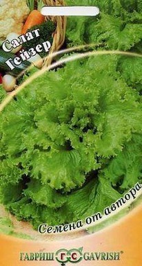 ����� ������ ��������