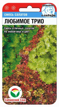 ����� ������� ����