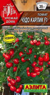 ���� ������ F1 �����