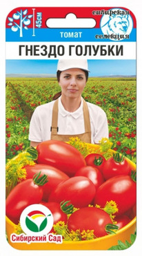 ����� ������ �������