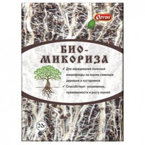 ��� ��������