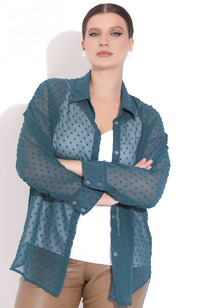 ������ ������� (����������)